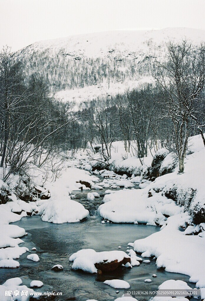 冬日雪覆溪流山林美景