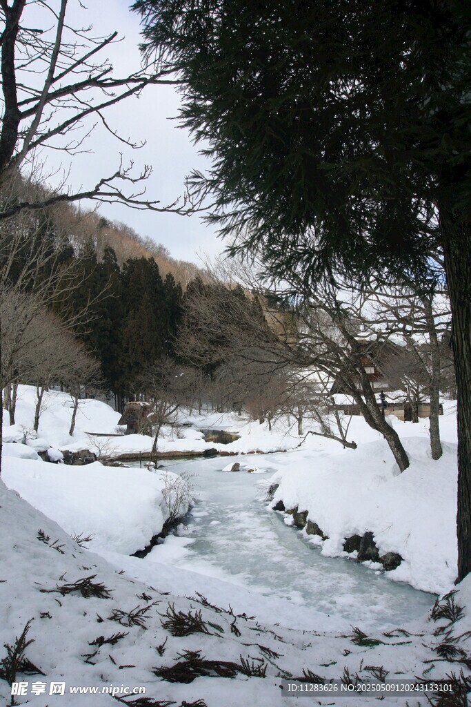 冬日雪覆山林静谧景象