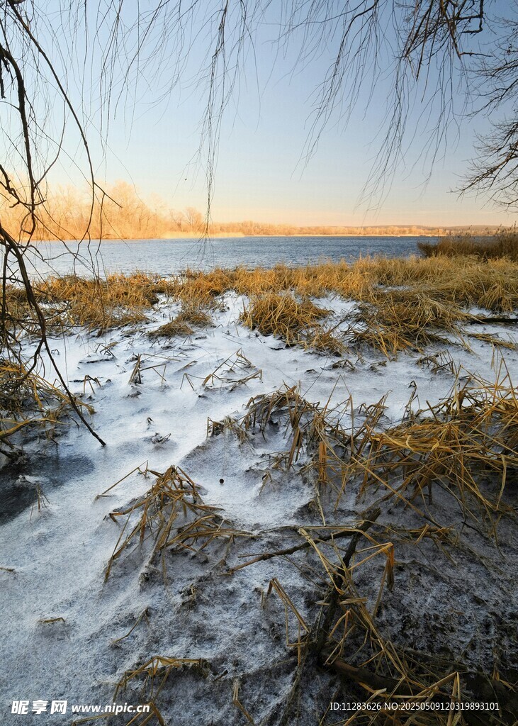 冬日河畔冰雪覆盖景象