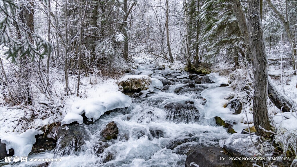 冬日林间溪流雪景