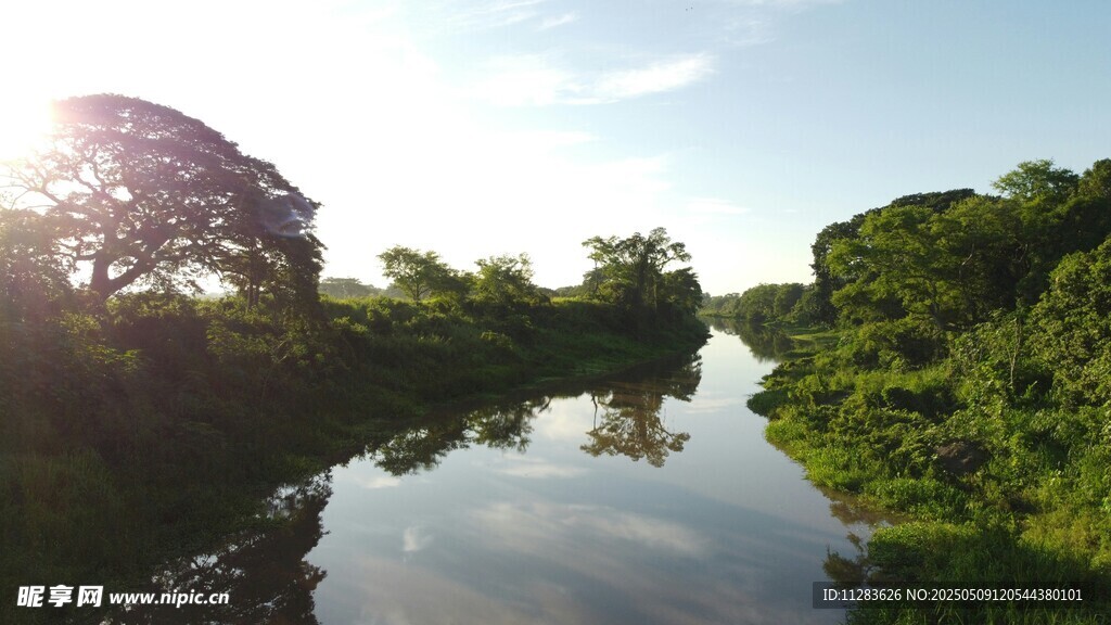 河畔绿荫 阳光映照美景