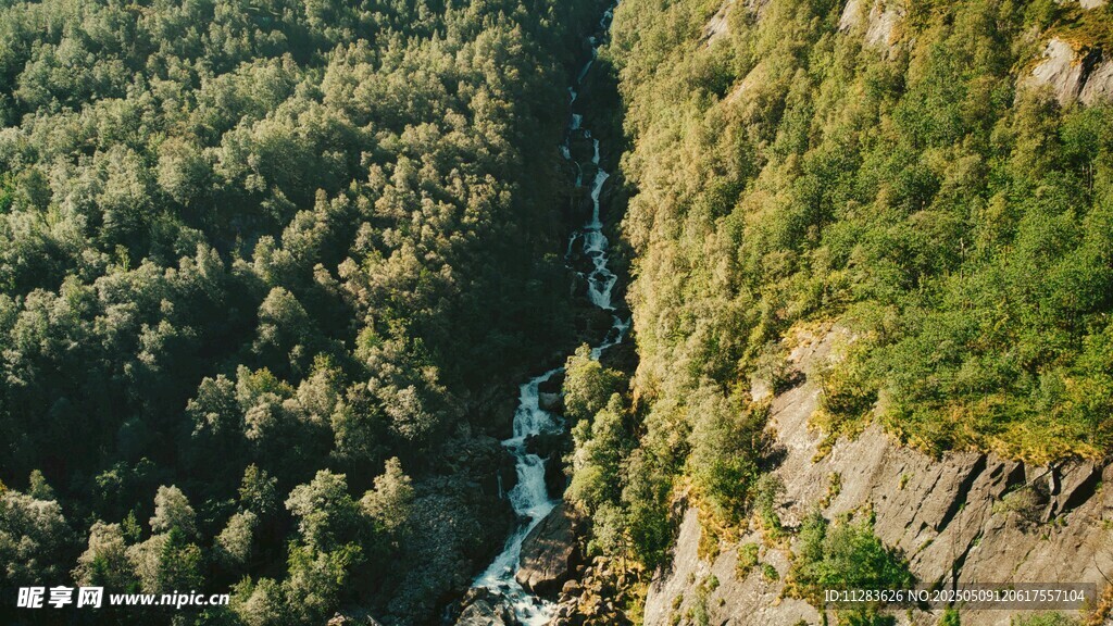 峡谷森林航拍美景