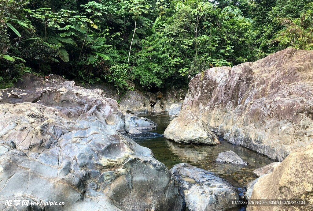 山间溪流岩石绿植景观