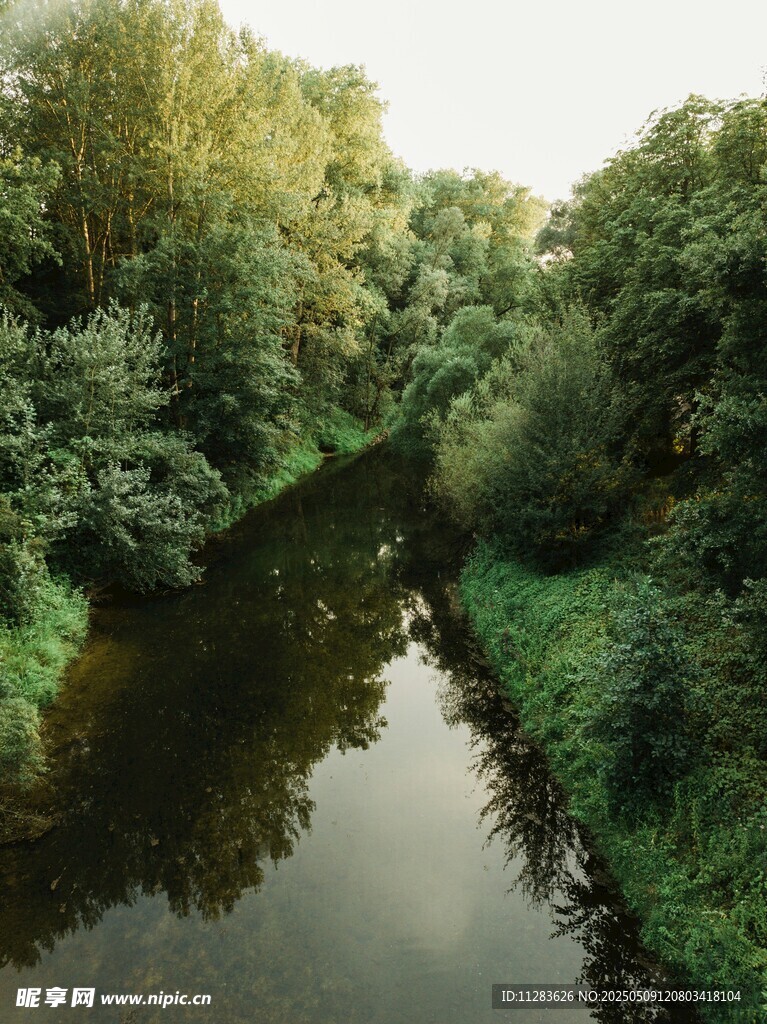 林间静谧小河