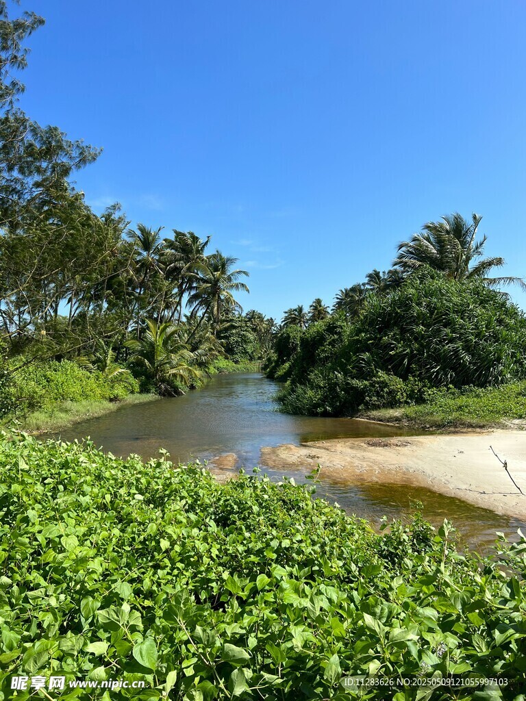 河畔绿植环绕的自然美景