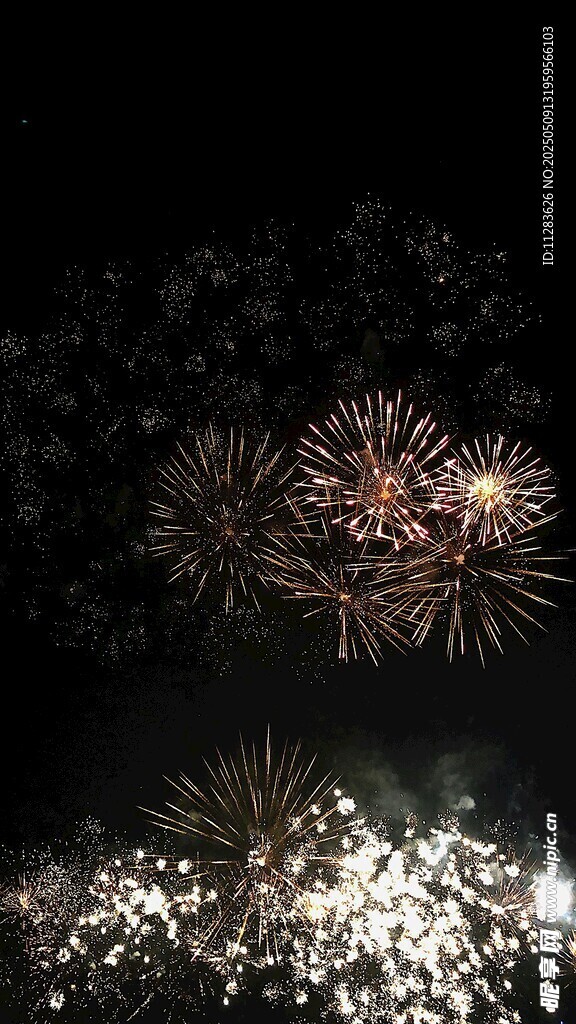 夜空中绚烂的烟花绽放
