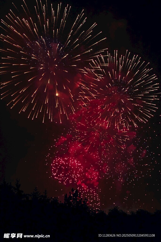 夜空中绚烂的红色烟花