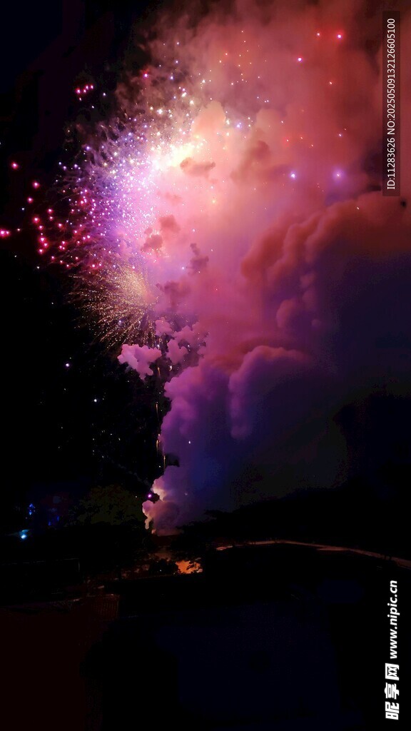 绚烂夜空烟花绽放