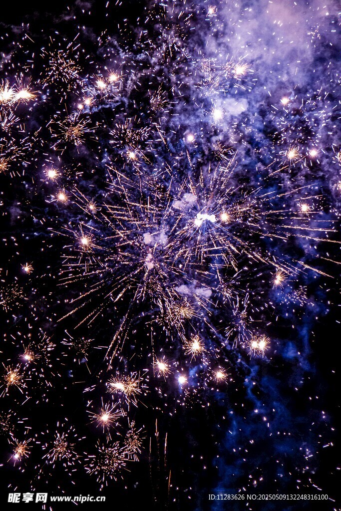 绚烂夜空烟花绽放