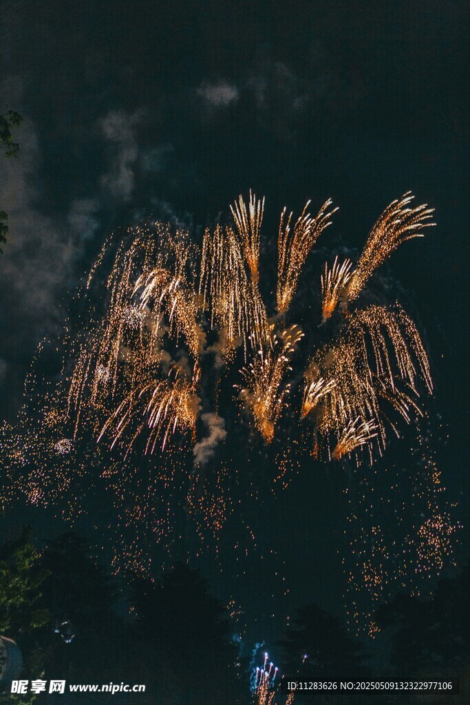 夜空中绚烂绽放的烟花