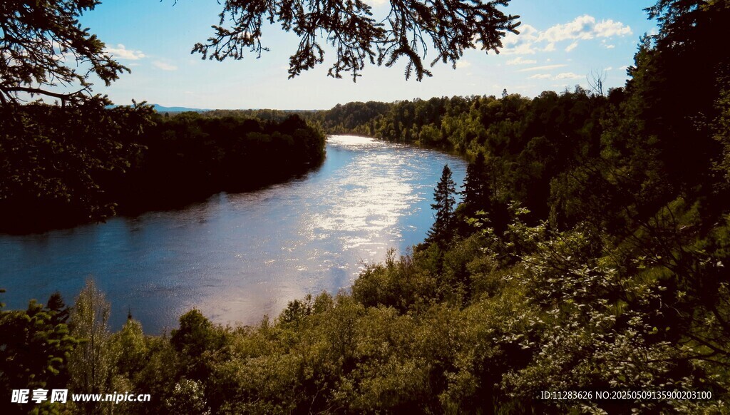 湖畔森林美景