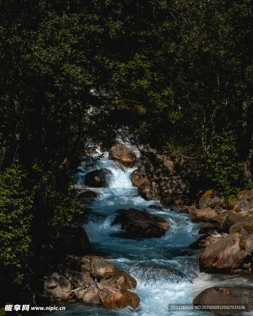 山间溪流潺潺穿林而过