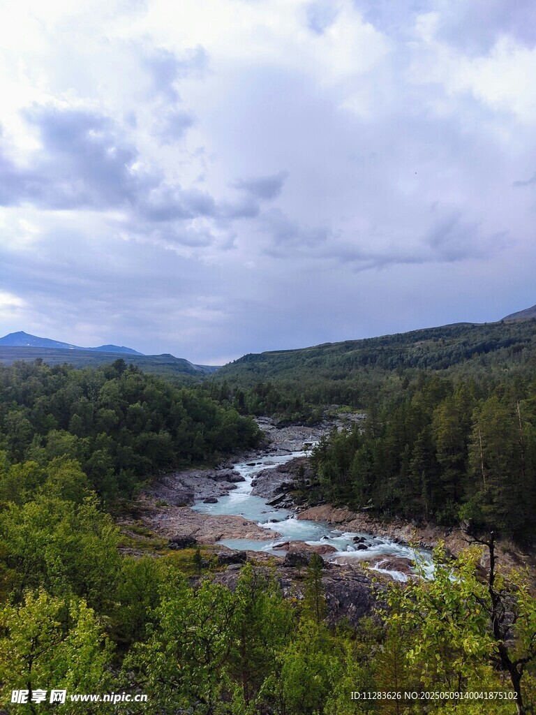 山间溪流伴葱郁树林