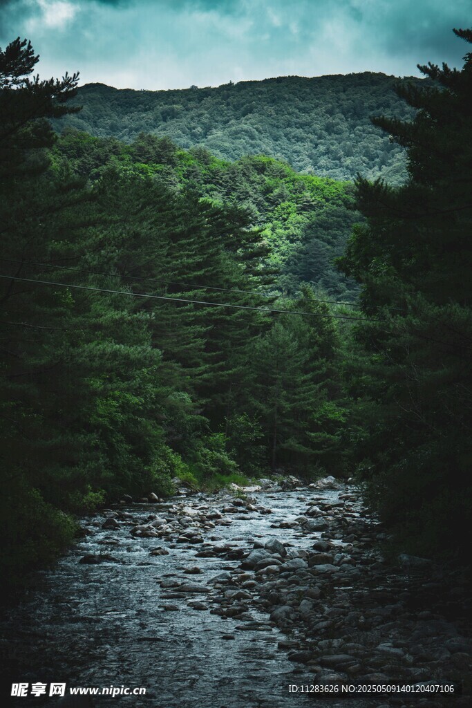 山间溪流蜿蜒于葱郁山林