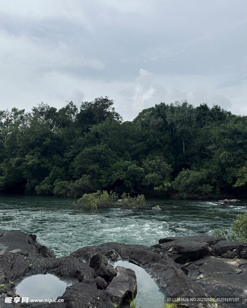 河畔岩石与葱郁树林景观
