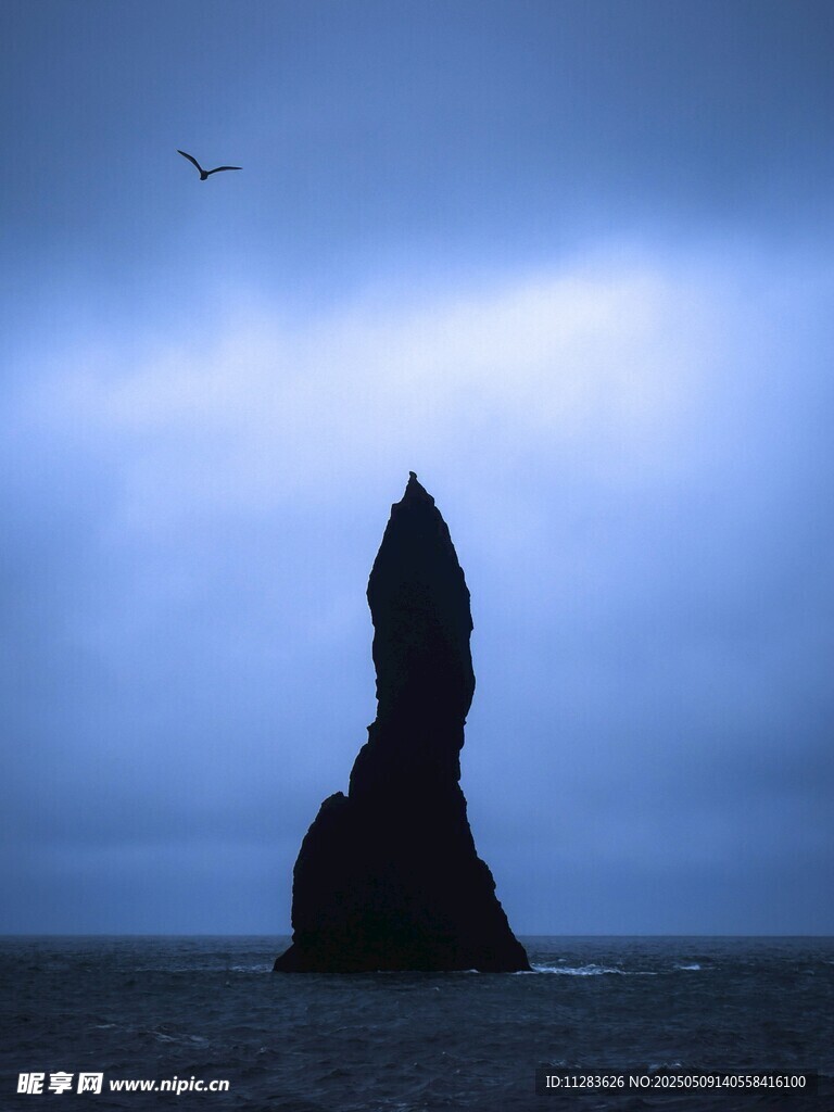 海边孤岩飞鸟壮丽景观