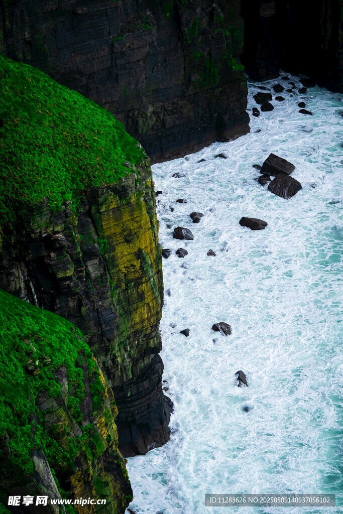 海岸悬崖边的翠绿景致