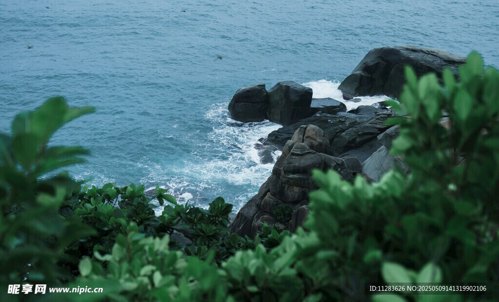 海岸边的绿植与礁石
