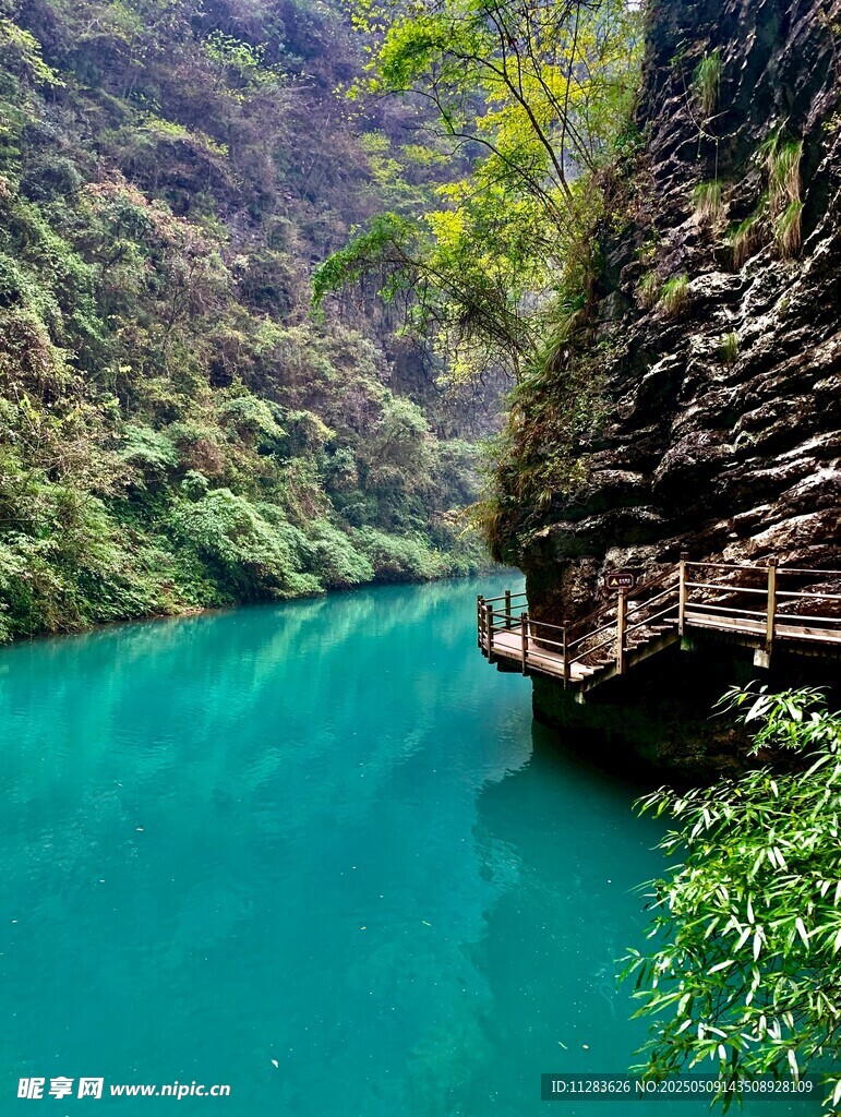 碧绿河谷中的栈道美景