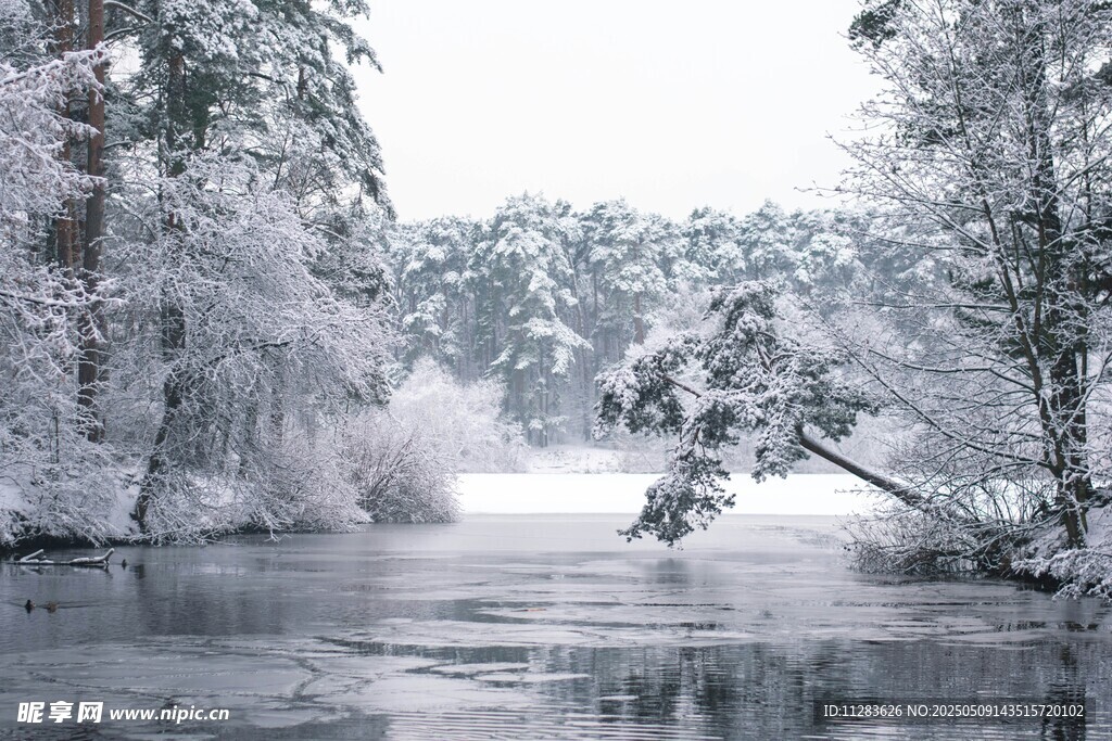 冬日雪景中的静谧河流