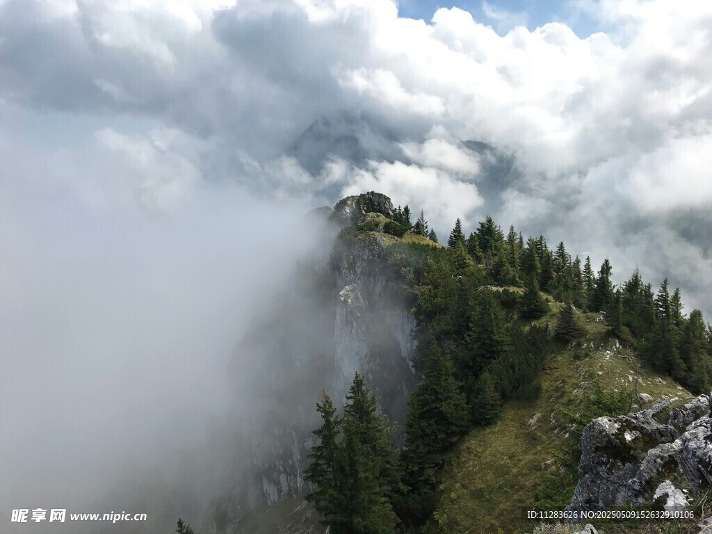 云雾缭绕的山间森林美景