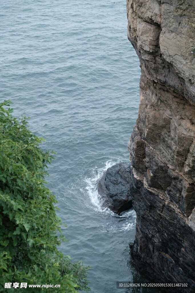 海边悬崖与绿植景观