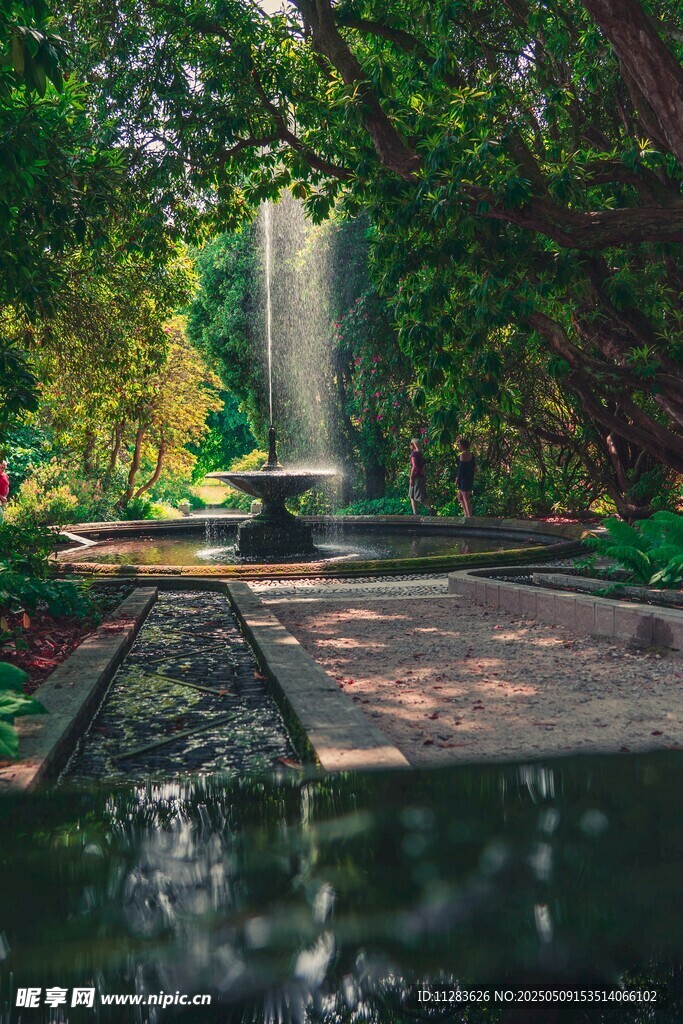 静谧林间水景花园一角