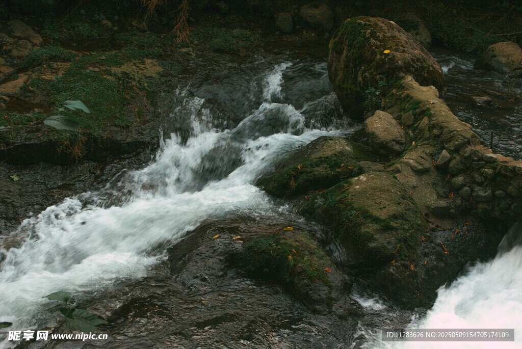 山间溪流潺潺流淌