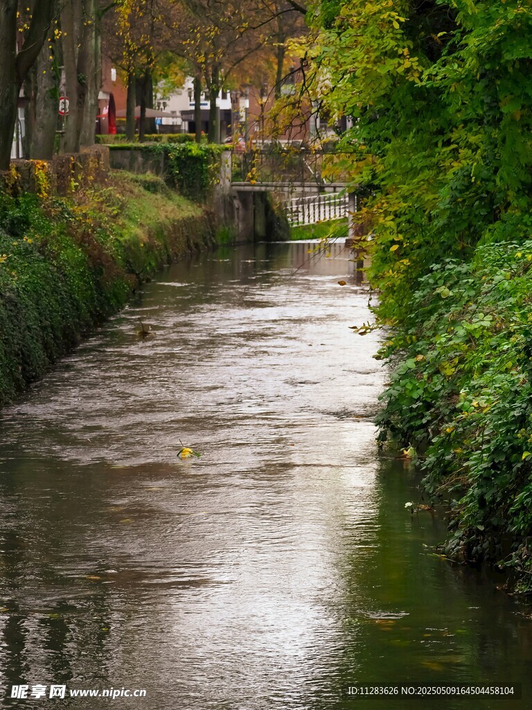 秋日河畔美景