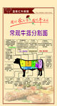 常见牛身分割图详解