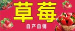 草莓海报