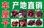 车厘子产地直销