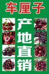 车厘子海报