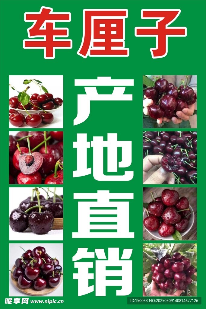 车厘子海报