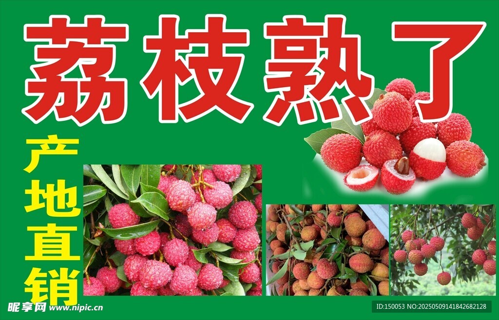 荔枝熟了