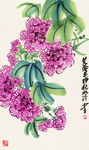 国画芙蓉花图