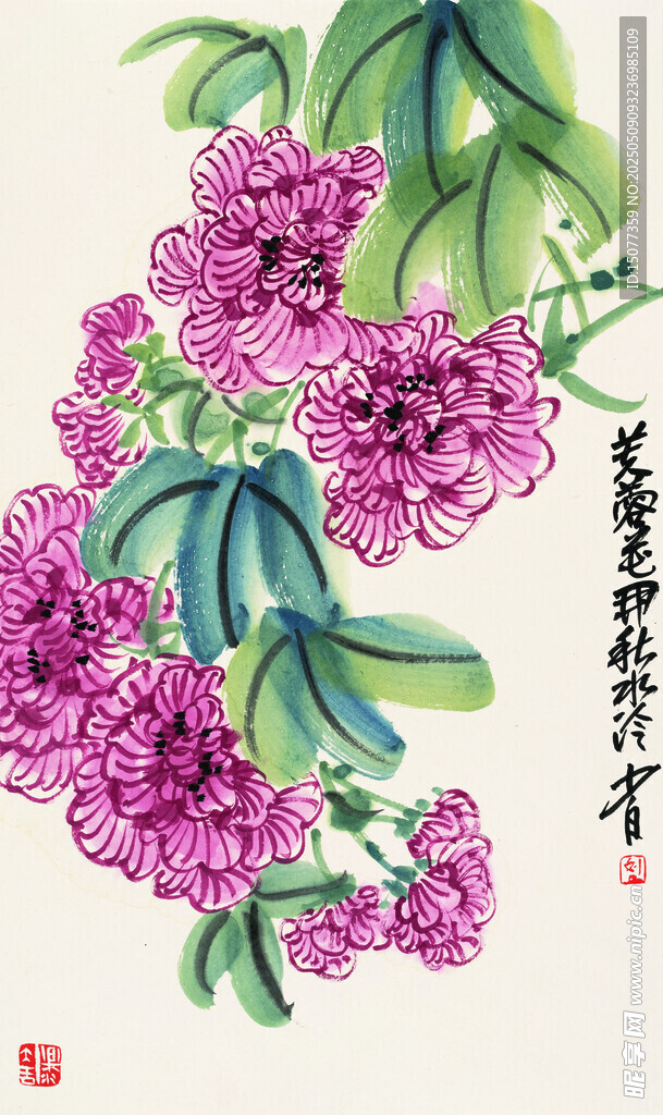 国画芙蓉花图