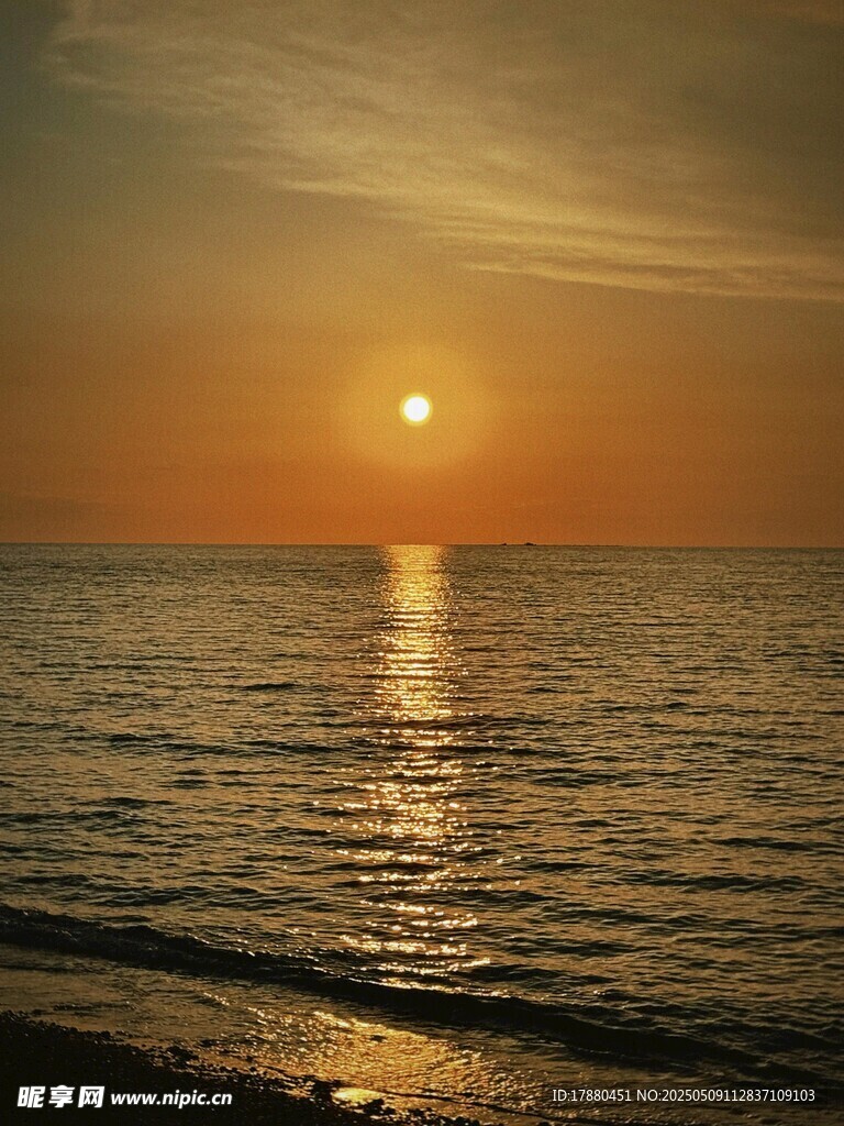 大海