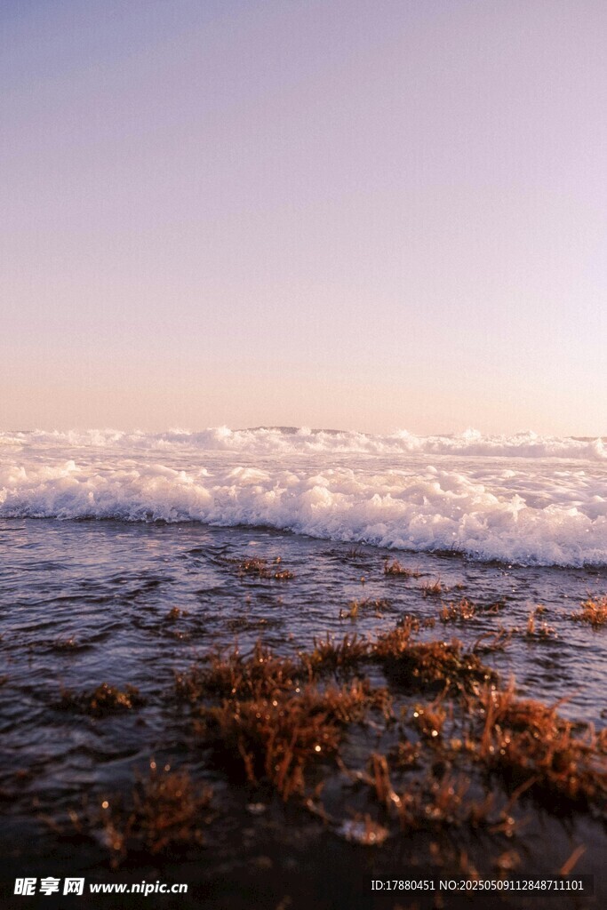 海浪