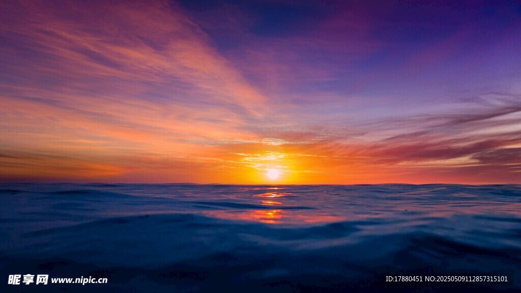 大海