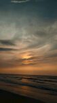 大海
