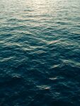 大海