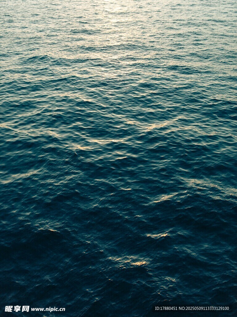 大海