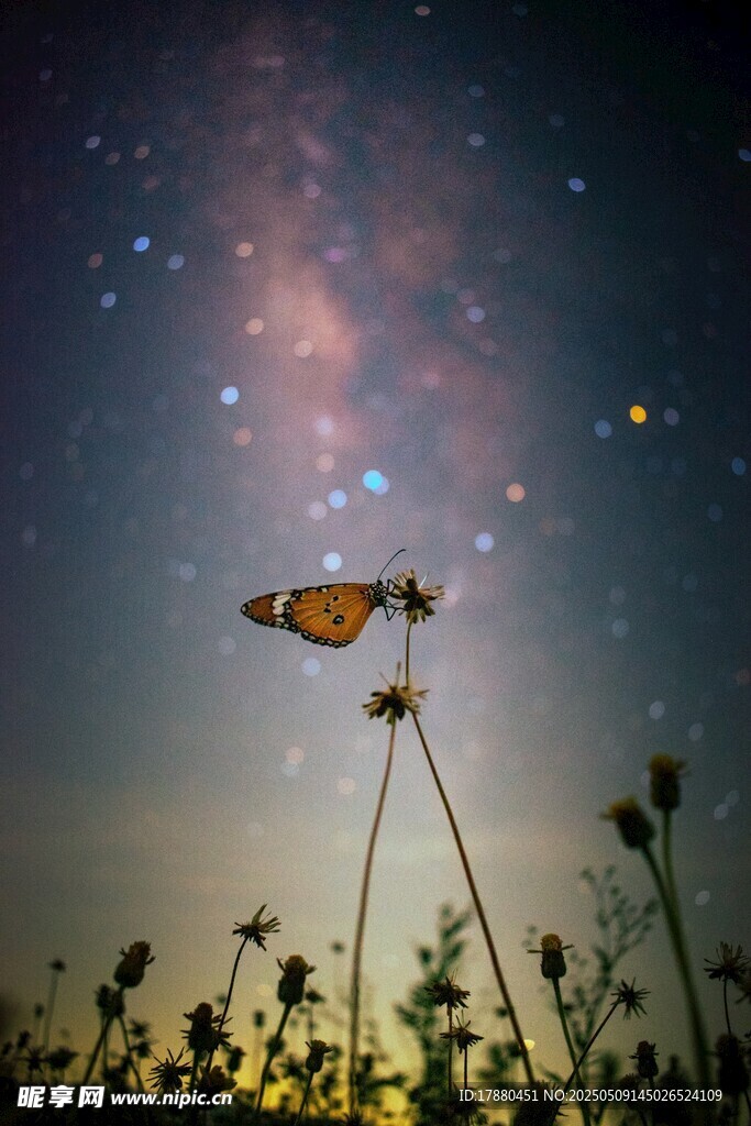 星空