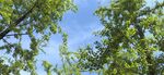 夏天天空