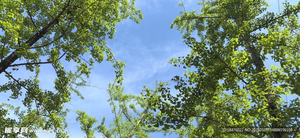 夏天天空