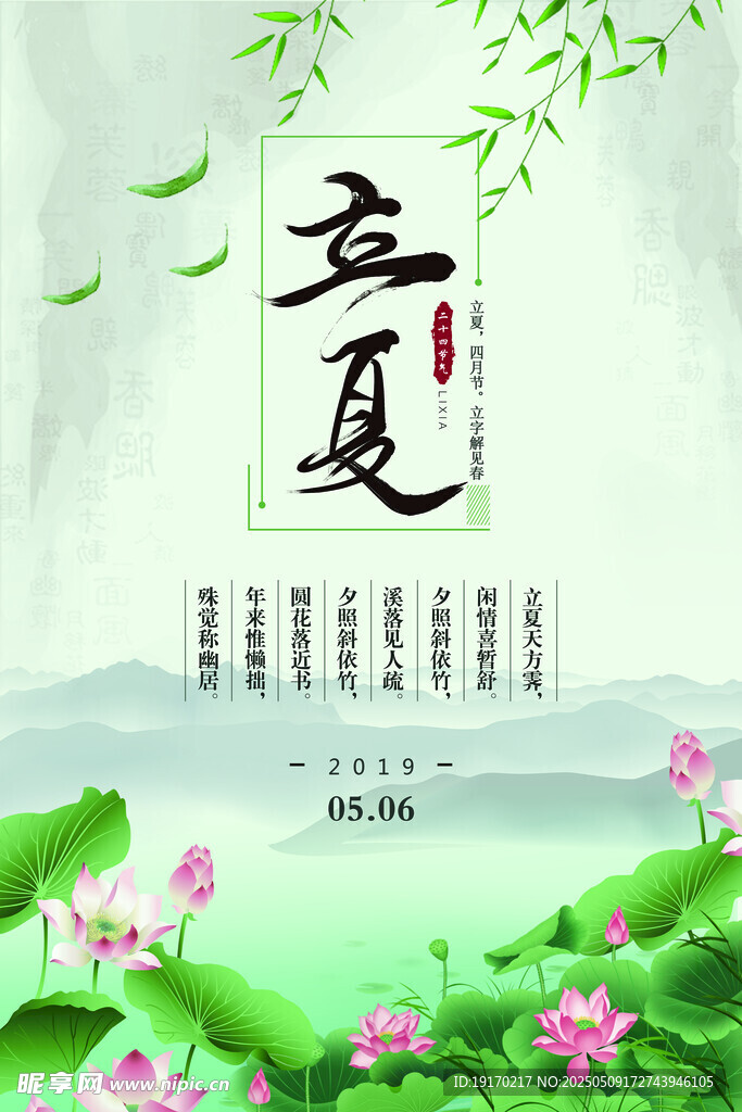 立夏时节荷花绽放美景