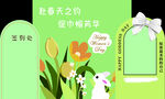 兔宝宝生日宴