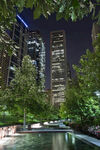 都市夜景中的绿植与水景