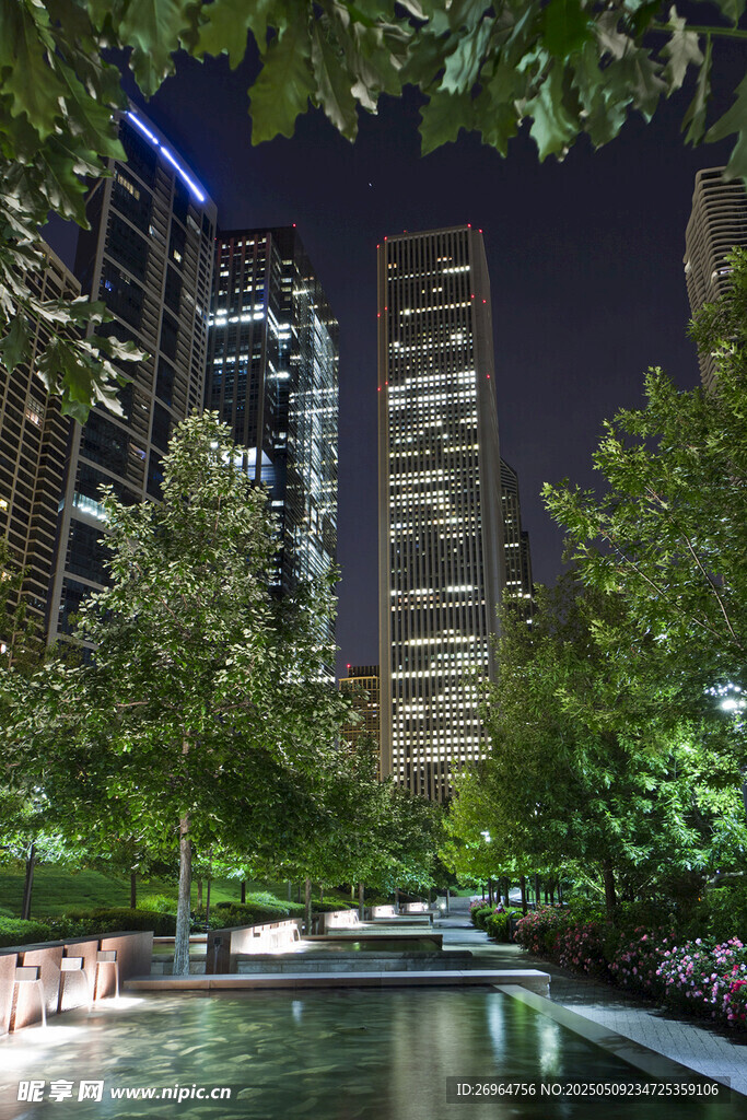 都市夜景中的绿植与水景
